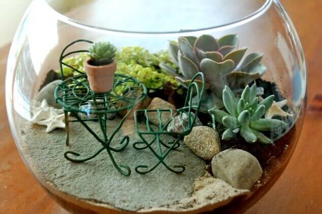 Learn to make a terrarium fun class